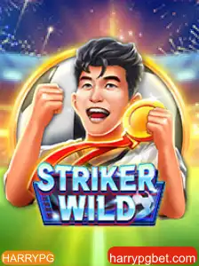 Descubra o Mundo Empolgante de StrikerWILD com HARRYPG